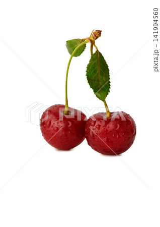 Two fresh ripe red cherries with water droplets, stems, and leaves isolated on white Two fresh ripe red cherries with water droplets, stems, and leaves isolated on white 141994560