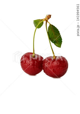 Two fresh ripe red cherries with water droplets, stems, and leaves isolated on white Two fresh ripe red cherries with water droplets, stems, and leaves isolated on white 141994561