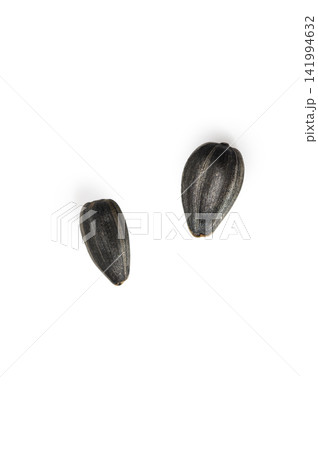 Two Whole Black Sunflower Seeds on White Background Two Whole Black Sunflower Seeds on White Background 141994632