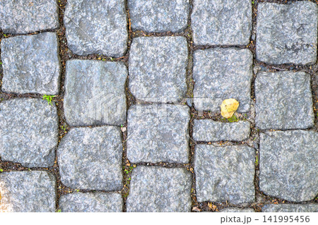 Gray stone pavement with a single yellow leaf. Tiny green sprouts peek between stones. Rough, weathered surface shows age and wear. Natural textures ideal for rustic design projects Gray stone pavement with a single yellow leaf. Tiny green sprouts peek between stones. Rough, weathered surface shows age and wear. Natural textures ideal for rustic design projects 141995456