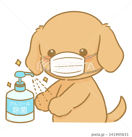 マスクをつけて手をアルコール消毒する茶色いかわいい犬の手描きイラスト 141995631