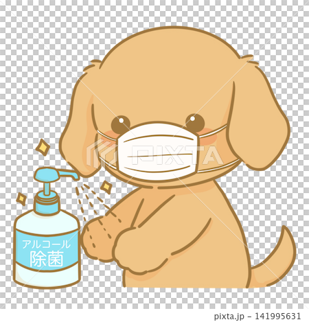 マスクをつけて手をアルコール消毒する茶色いかわいい犬の手描きイラスト 141995631