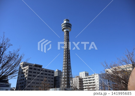 山下公園から見たマリンタワー 山下公園から見たマリンタワー 141995685
