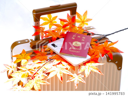 紅葉のシーズン、スマホとパスポートとスーツケース 紅葉のシーズン、スマホとパスポートとスーツケース 141995783
