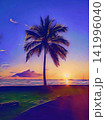Palm Tree Sunset Beach 141996040