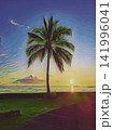 Palm Tree Sunset Beach 141996041