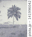 Vintage Palm Tree Beach Sketch 141996042