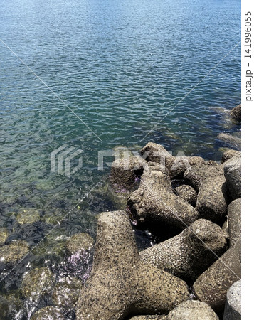 夏の晴天に輝くキラキラした水面と港のテトラポッド・防波(縦型)堤の夏らしい海岸写真 夏の晴天に輝くキラキラした水面と港のテトラポッド・防波(縦型)堤の夏らしい海岸写真 141996055