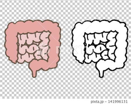 Illustration of the large intestine and small intestine Illustration of the large intestine and small intestine 141996131