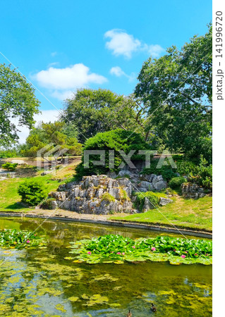Tranquil Garden Scene with Lush Greenery and Pond Reflections Tranquil Garden Scene with Lush Greenery and Pond Reflections 141996720