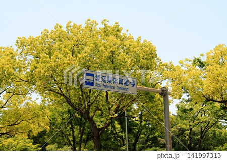 愛知県体育館の案内板 愛知県体育館の案内板 141997313