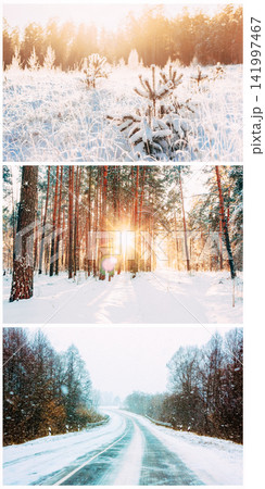 Vertical winter photo collage of snowy forests and a winter road. Vertical winter photo collage of snowy forests and a winter road. 141997467