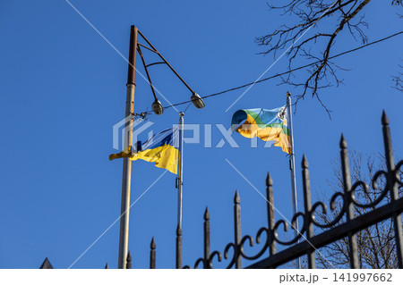 Ukrainian and local city flags flutter in a clear blue sky above a metal fence, symbolizing national pride and local identity in a public space during a sunny day of civic unity Ukrainian and local city flags flutter in a clear blue sky above a metal fence, symbolizing national pride and local identity in a public space during a sunny day of civic unity 141997662