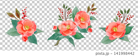Red Camellia and Nandina - Watercolor Illustration Set Red Camellia and Nandina - Watercolor Illustration Set 141998442