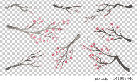 Watercolor painting of a plum branch in an ink painting style 141998446