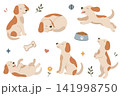 Set of cute hand drawn dog characters, cartoon puppies and pet accessories elements isolated on white background 141998750