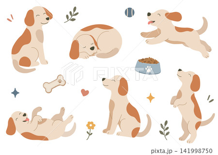 Set of cute hand drawn dog characters, cartoon puppies and pet accessories elements isolated on white background 141998750
