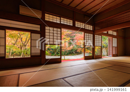 京都の圓光寺の瑞雲閣から眺める十牛之庭の紅葉 京都の圓光寺の瑞雲閣から眺める十牛之庭の紅葉 141999161