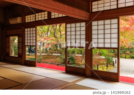 京都の圓光寺の瑞雲閣から眺める十牛之庭の紅葉 京都の圓光寺の瑞雲閣から眺める十牛之庭の紅葉 141999162