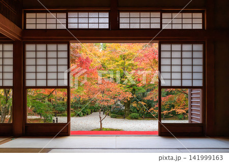 京都の圓光寺の瑞雲閣から眺める十牛之庭の紅葉 京都の圓光寺の瑞雲閣から眺める十牛之庭の紅葉 141999163