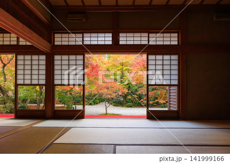 京都の圓光寺の瑞雲閣から眺める十牛之庭の紅葉 京都の圓光寺の瑞雲閣から眺める十牛之庭の紅葉 141999166