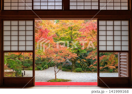 京都の圓光寺の瑞雲閣から眺める十牛之庭の紅葉 京都の圓光寺の瑞雲閣から眺める十牛之庭の紅葉 141999168