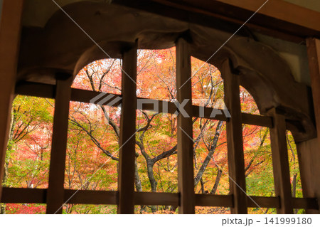 京都の圓光寺の瑞雲閣から眺める十牛之庭の紅葉 京都の圓光寺の瑞雲閣から眺める十牛之庭の紅葉 141999180