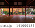 京都の圓光寺の書院から眺める十牛之庭の紅葉 141999185