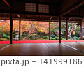 京都の圓光寺の書院から眺める十牛之庭の紅葉 141999186
