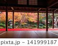 京都の圓光寺の書院から眺める十牛之庭の紅葉 141999187