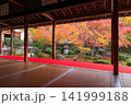 京都の圓光寺の書院から眺める十牛之庭の紅葉 141999188