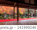 京都の圓光寺の書院から眺める十牛之庭の紅葉 141999246