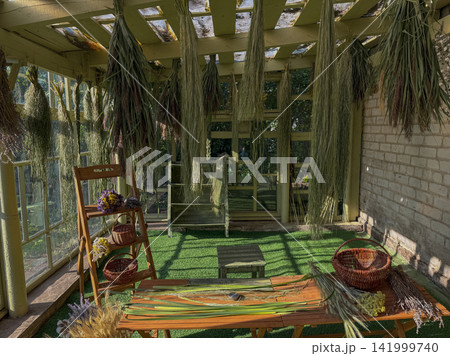 Reeds and cattails in garden house floristry workspace. Reeds and cattails hang in bundles beneath pergola beams inside garden house prepared for floristry. Reeds and cattails in garden house floristry workspace. Reeds and cattails hang in bundles beneath pergola beams inside garden house prepared for floristry. 141999740
