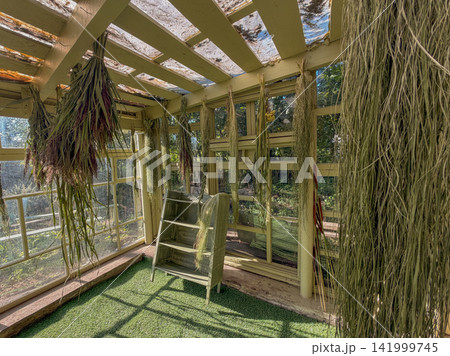 Reeds and cattails are gathered and suspended for drying inside garden house floristry studio. Reeds and cattails hang beside dried plants and floral materials in rustic garden house Reeds and cattails are gathered and suspended for drying inside garden house floristry studio. Reeds and cattails hang beside dried plants and floral materials in rustic garden house 141999745
