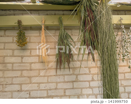 Reeds and cattails arranged for floristry in garden house. Reeds and cattails are organized around with dried botanicals and floral arrangements inside garden house. Reeds and cattails arranged for floristry in garden house. Reeds and cattails are organized around with dried botanicals and floral arrangements inside garden house. 141999750