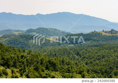 Green forested hills and distant mountain landscape Green forested hills and distant mountain landscape 142000380