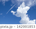 プードルのような雲 142001853