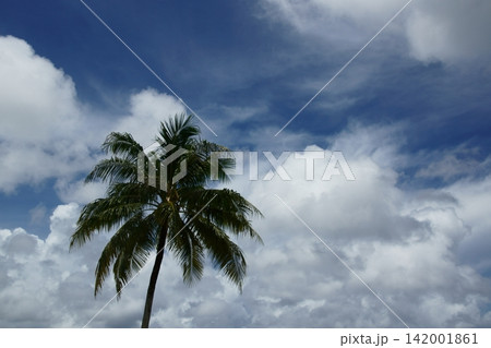 風景 風景 142001861