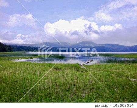 夏の尾瀬沼、青々とした湿原と雄大な山々が広がる絶景 夏の尾瀬沼、青々とした湿原と雄大な山々が広がる絶景 142002014
