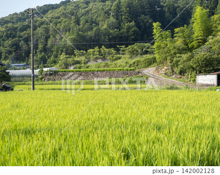 大阪府の能勢町に広がる田園風景 大阪府の能勢町に広がる田園風景 142002128