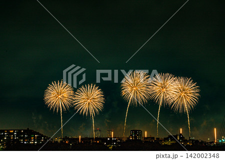 夜空に広がる花火 142002348