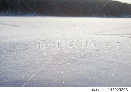 Snow-covered terrain with a sparkling surface in the foreground, blurred trees in the background, creating a serene winter landscape Snow-covered terrain with a sparkling surface in the foreground, blurred trees in the background, creating a serene winter landscape 142003268
