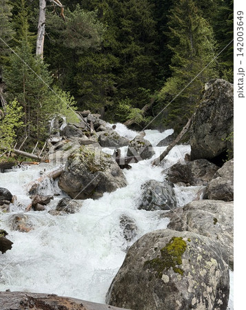 Fast-flowing river rushes over large rocks, with vibrant green trees lining the banks in a serene mountainous forest setting 142003649