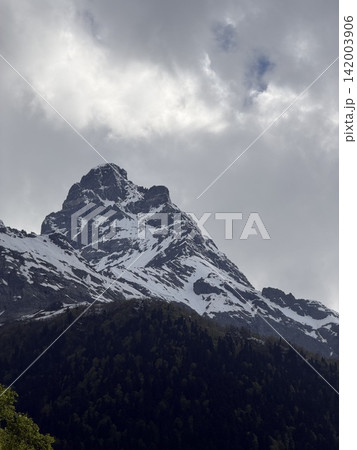 Snow-covered mountain peak towers over lush green forest, with dramatic clouds creating a striking backdrop in an alpine environment 142003906