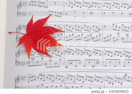 紅葉の葉と楽譜の音符クローズアップイメージ素材 紅葉の葉と楽譜の音符クローズアップイメージ素材 142004003