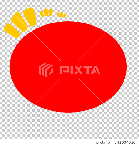 Flash Flash 142004016