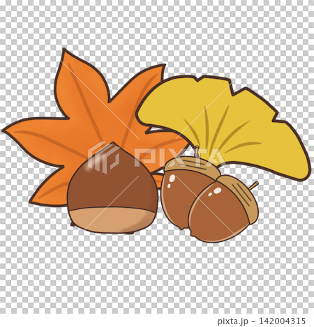 A hand-drawn style illustration of autumn leaves, ginkgo trees, chestnuts, and acorns in an autumn corner. A hand-drawn style illustration of autumn leaves, ginkgo trees, chestnuts, and acorns in an autumn corner. 142004315