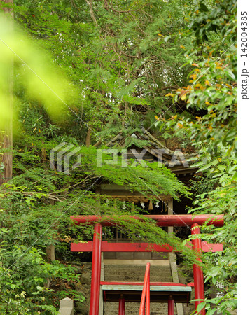 事任八幡宮 稲荷神社 5月 事任八幡宮 稲荷神社 5月 142004385