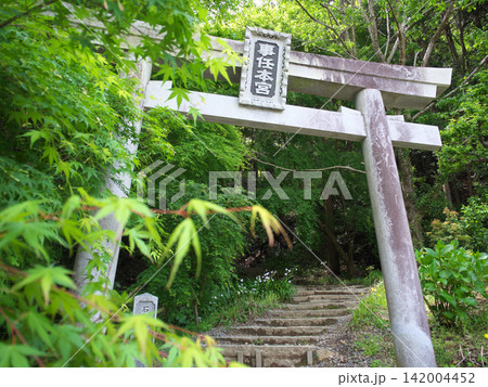 事任八幡宮 本宮の入口 5月 事任八幡宮 本宮の入口 5月 142004452