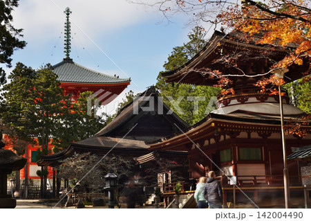 世界遺産 高野山の冬の情景 蛇腹道 世界遺産 高野山の冬の情景 蛇腹道 142004490